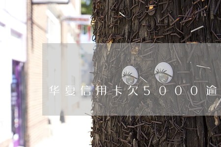 华夏信用卡欠5000逾期两年