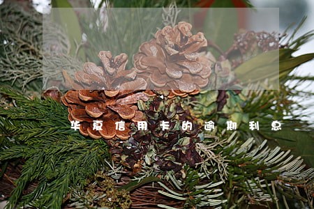 华夏信用卡的逾期利息 华夏信用卡的逾期利息