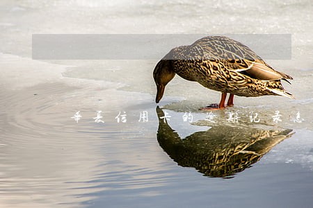 华夏信用卡的逾期记录怎么消除 华夏信用卡的逾期记录怎么消除