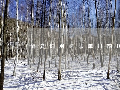 华夏信用卡账单日前还款算逾期