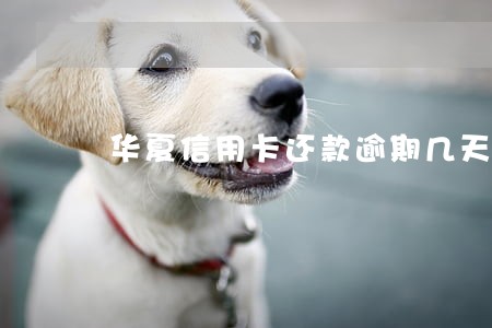 华夏信用卡还款逾期几天 华夏信用卡还款逾期几天
