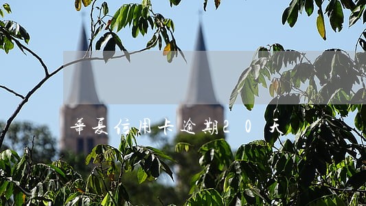 华夏信用卡逾期20天 华夏信用卡逾期20天