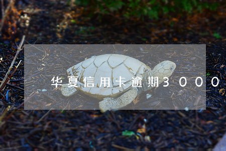 华夏信用卡逾期30000