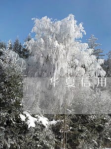 华夏信用卡逾期3500 华夏信用卡逾期3500