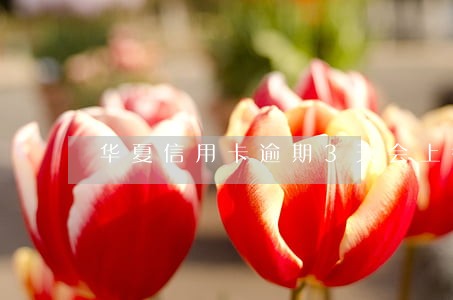 华夏信用卡逾期3天会上征信么 华夏信用卡逾期3天会上征信么