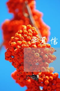 华夏信用卡逾期3天会怎 华夏信用卡逾期3天会怎