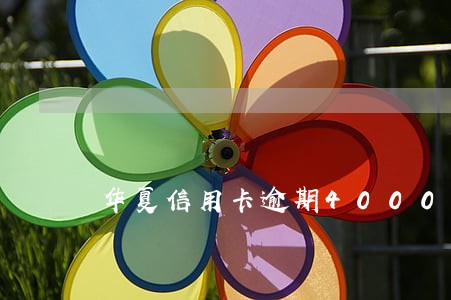 华夏信用卡逾期4000 华夏信用卡逾期4000