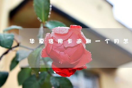 华夏信用卡逾期一个月怎么办 华夏信用卡逾期一个月怎么办