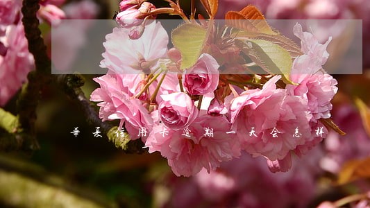 华夏信用卡逾期一天会怎样 华夏信用卡逾期一天会怎样