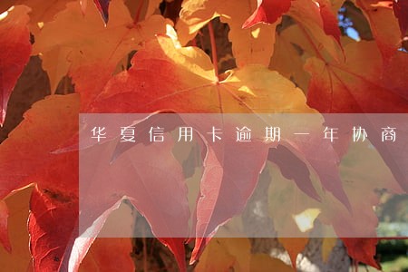 华夏信用卡逾期一年协商