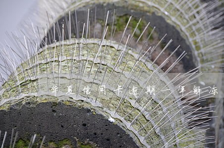 华夏信用卡逾期一年解冻成功 华夏信用卡逾期一年解冻成功