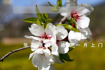 华夏信用卡逾期一月上门 华夏信用卡逾期一月上门