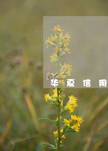 华夏信用卡逾期七天影响征信吗 华夏信用卡逾期七天影响征信吗