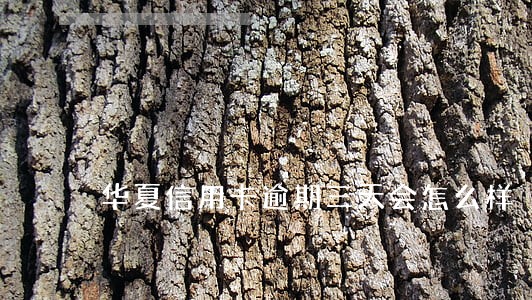 华夏信用卡逾期三天会怎么样 华夏信用卡逾期三天会怎么样