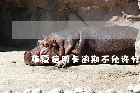 华夏信用卡逾期不允许分期 华夏信用卡逾期不允许分期
