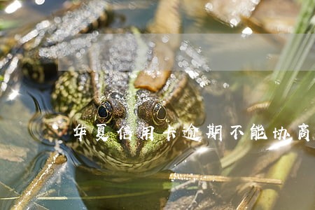 华夏信用卡逾期不能协商 华夏信用卡逾期不能协商