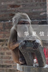 华夏信用卡逾期两万五个月