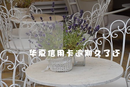 华夏信用卡逾期久了还 华夏信用卡逾期久了还