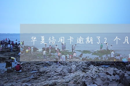 华夏信用卡逾期了2个月怎么办 华夏信用卡逾期了2个月怎么办