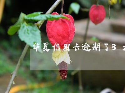 华夏信用卡逾期了3天怎么办 华夏信用卡逾期了3天怎么办