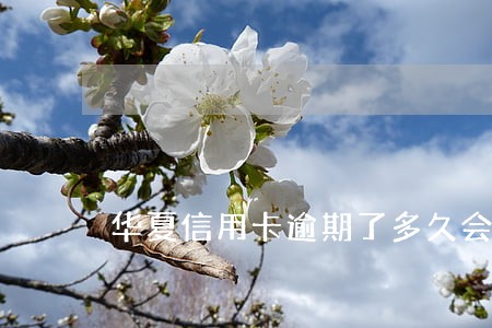 华夏信用卡逾期了多久会上征信 华夏信用卡逾期了多久会上征信