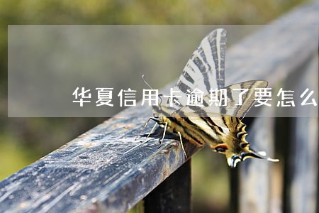 华夏信用卡逾期了要怎么 华夏信用卡逾期了要怎么