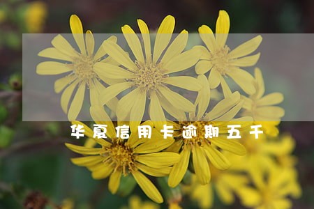 华夏信用卡逾期五千