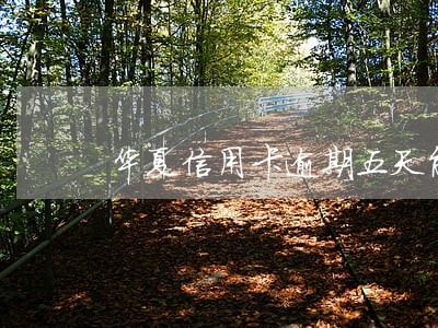 华夏信用卡逾期五天能上征信 华夏信用卡逾期五天能上征信