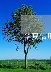 华夏信用卡逾期产生的后果 华夏信用卡逾期产生的后果