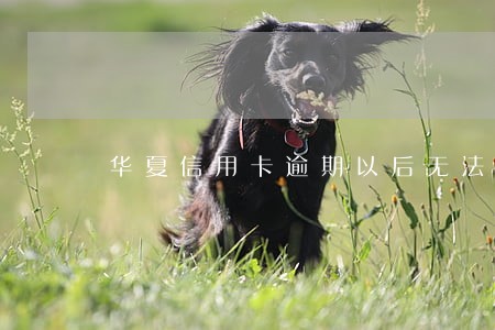 华夏信用卡逾期以后无法使用