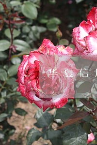华夏信用卡逾期会上门 华夏信用卡逾期会上门