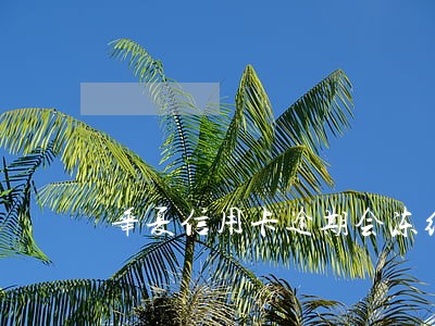 华夏信用卡逾期会冻结银行卡吗