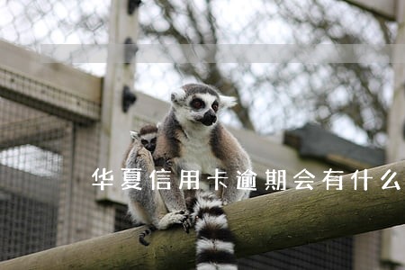 华夏信用卡逾期会有什么后果
