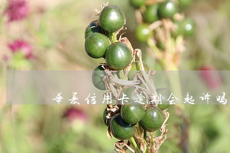 华夏信用卡逾期会起诉吗 华夏信用卡逾期会起诉吗