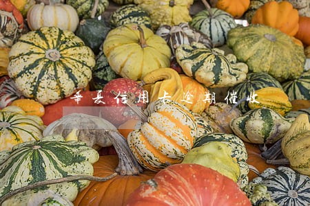 华夏信用卡逾期催收 华夏信用卡逾期催收