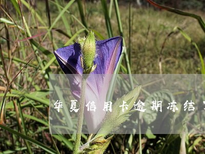 华夏信用卡逾期冻结了 华夏信用卡逾期冻结了