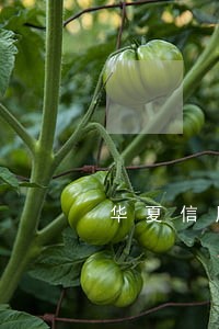华夏信用卡逾期几个月 华夏信用卡逾期几个月