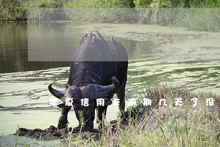 华夏信用卡逾期几天了没钱还