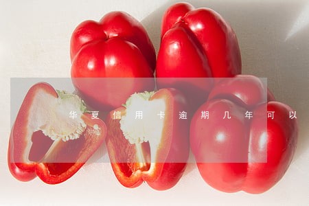 华夏信用卡逾期几年可以协商吗
