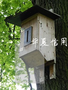 华夏信用卡逾期分期 华夏信用卡逾期分期