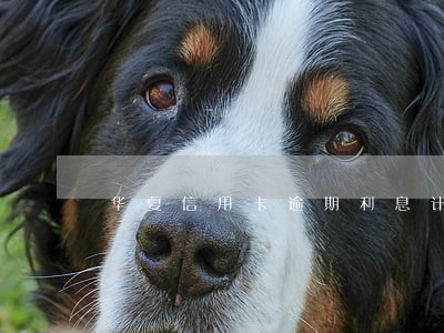 华夏信用卡逾期利息计算 华夏信用卡逾期利息计算