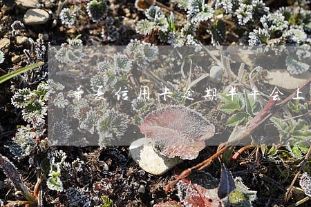 华夏信用卡逾期半年会上征信吗