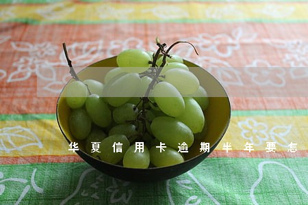华夏信用卡逾期半年要怎么处理