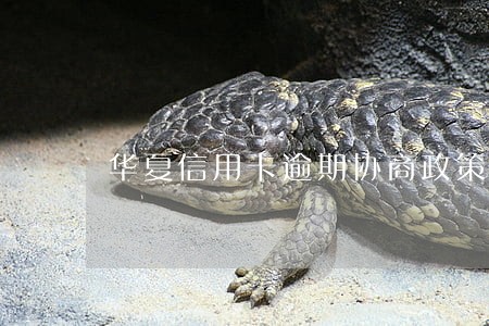 华夏信用卡逾期协商政策 华夏信用卡逾期协商政策