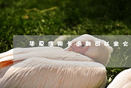 华夏信用卡逾期可以坐火车吗 华夏信用卡逾期可以坐火车吗