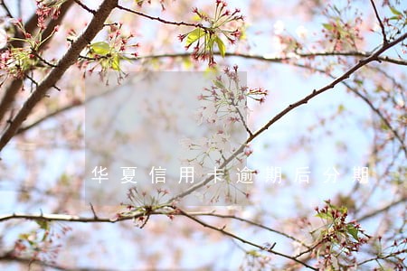 华夏信用卡逾期后分期 华夏信用卡逾期后分期