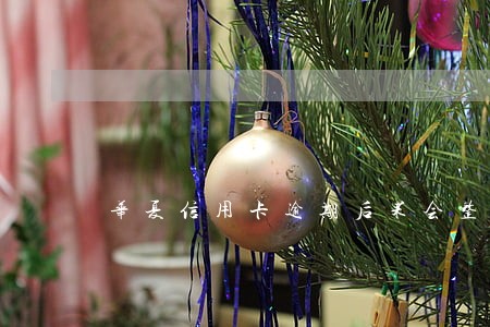 华夏信用卡逾期后果会整样 华夏信用卡逾期后果会整样