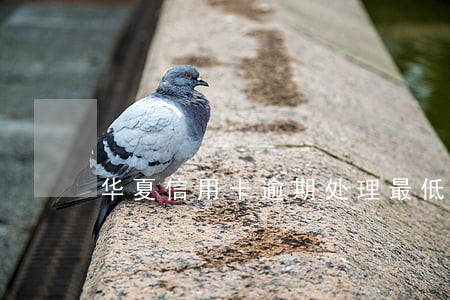 华夏信用卡逾期处理最低