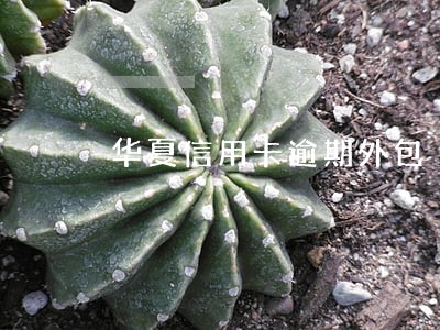 华夏信用卡逾期外包 华夏信用卡逾期外包