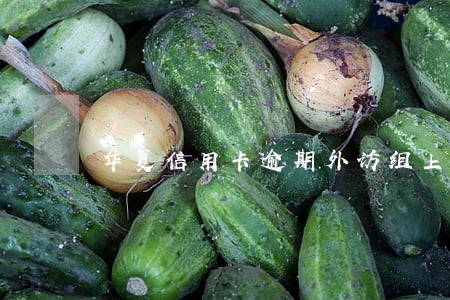 华夏信用卡逾期外访组上门兴业 华夏信用卡逾期外访组上门兴业